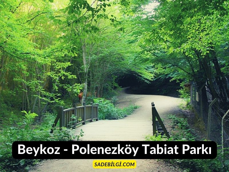 Beykoz - Polenezköy Tabiat Parkı