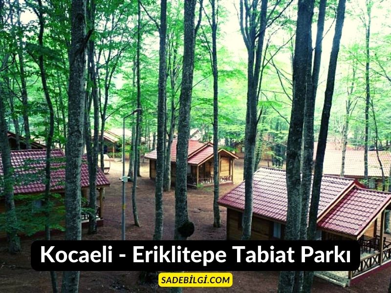 Kocaeli - Eriklitepe Tabiat Parkı