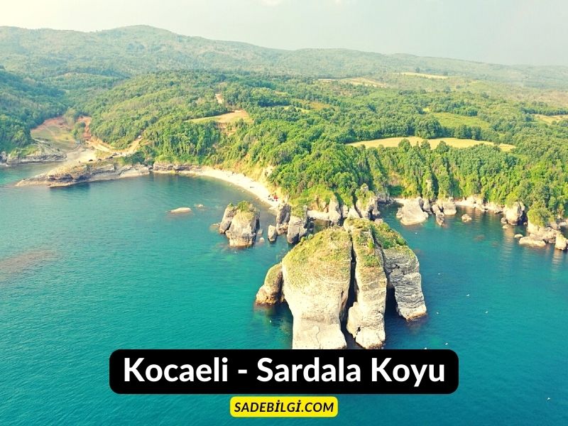 Kocaeli - Sardala Koyu